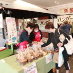 Thumbnail of new posts 084